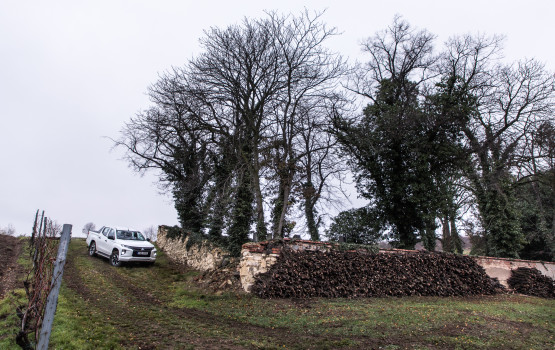 Mitsu Offroad Safari_10
